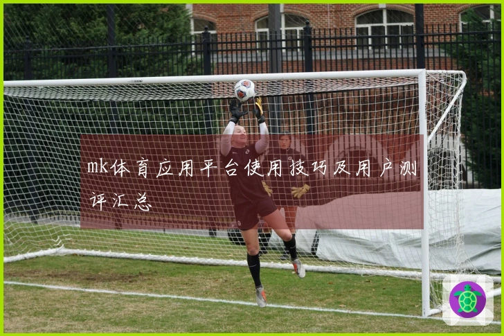 mk体育应用平台使用技巧及用户测评汇总